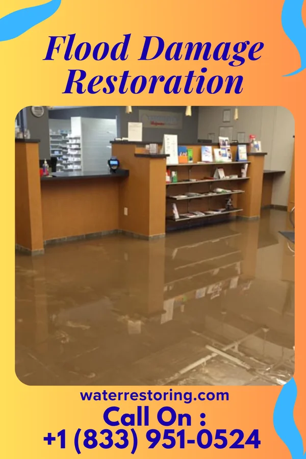 Flood Damage Restoration in Hillside, IL